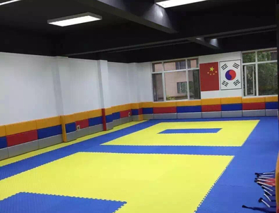 09跆拳道场地