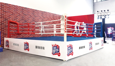 01专业拳击擂台