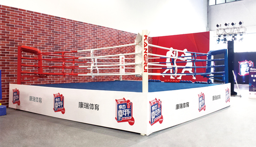专业拳击擂台